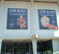 Vinyl Banners