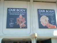 Custom Banners